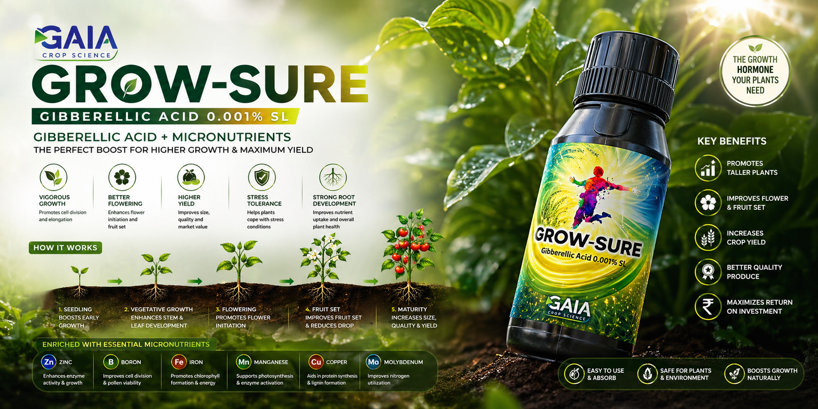 Humic Acid Fertilizer – Featured Product